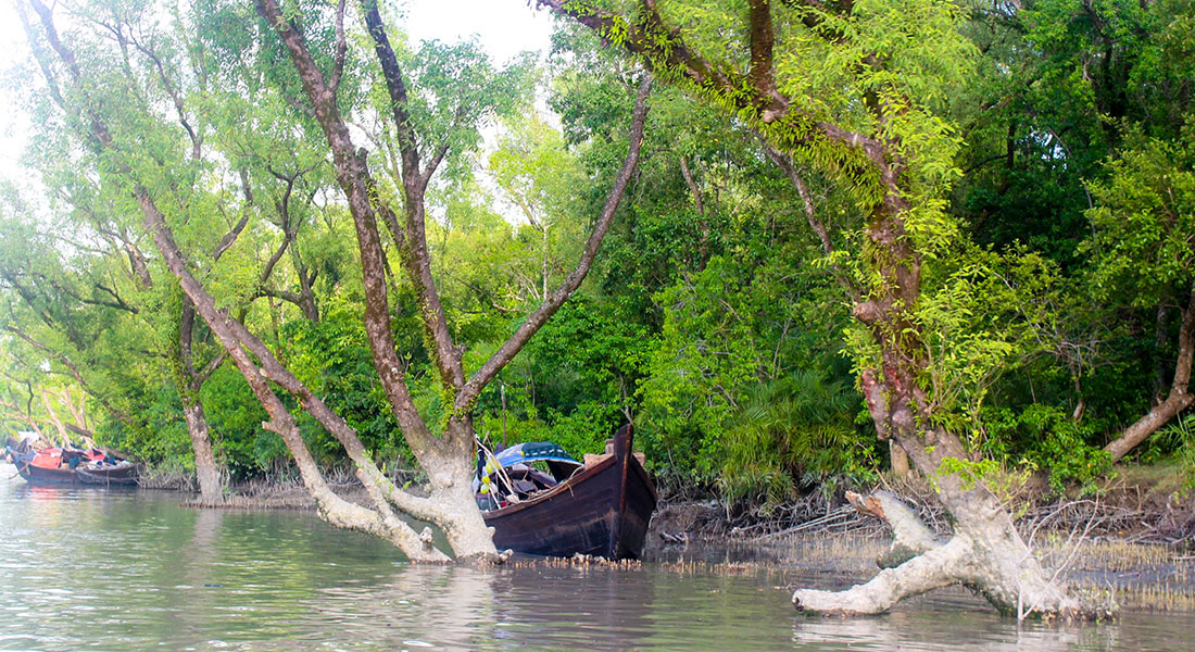 সাবেক ৩ বারের প্রধানমন্ত্রী গনতন্ত্রের জননী বেগম খালেদা জিয়ার মৃত্যু পরবর্তী দোয়া ও মিলাদ মাহফিল